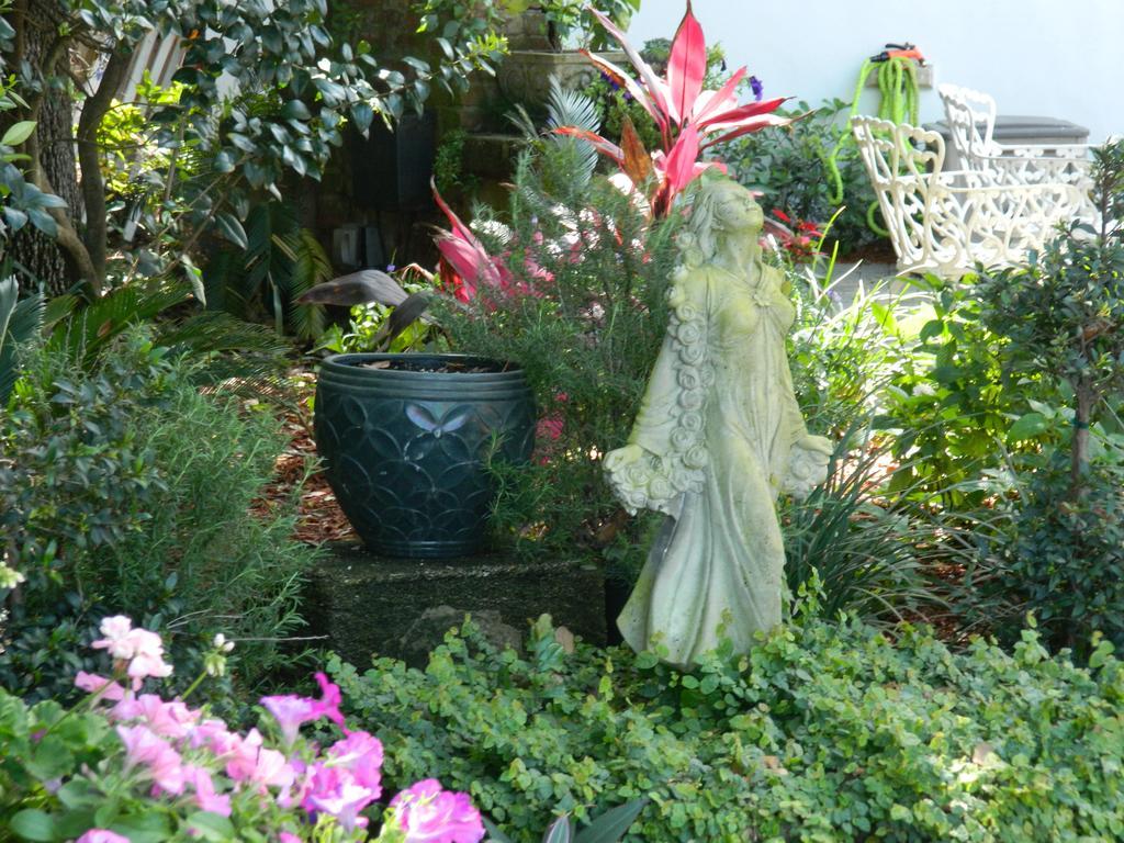 Bayfront Westcott House Bed & Breakfast St. Augustine Ngoại thất bức ảnh