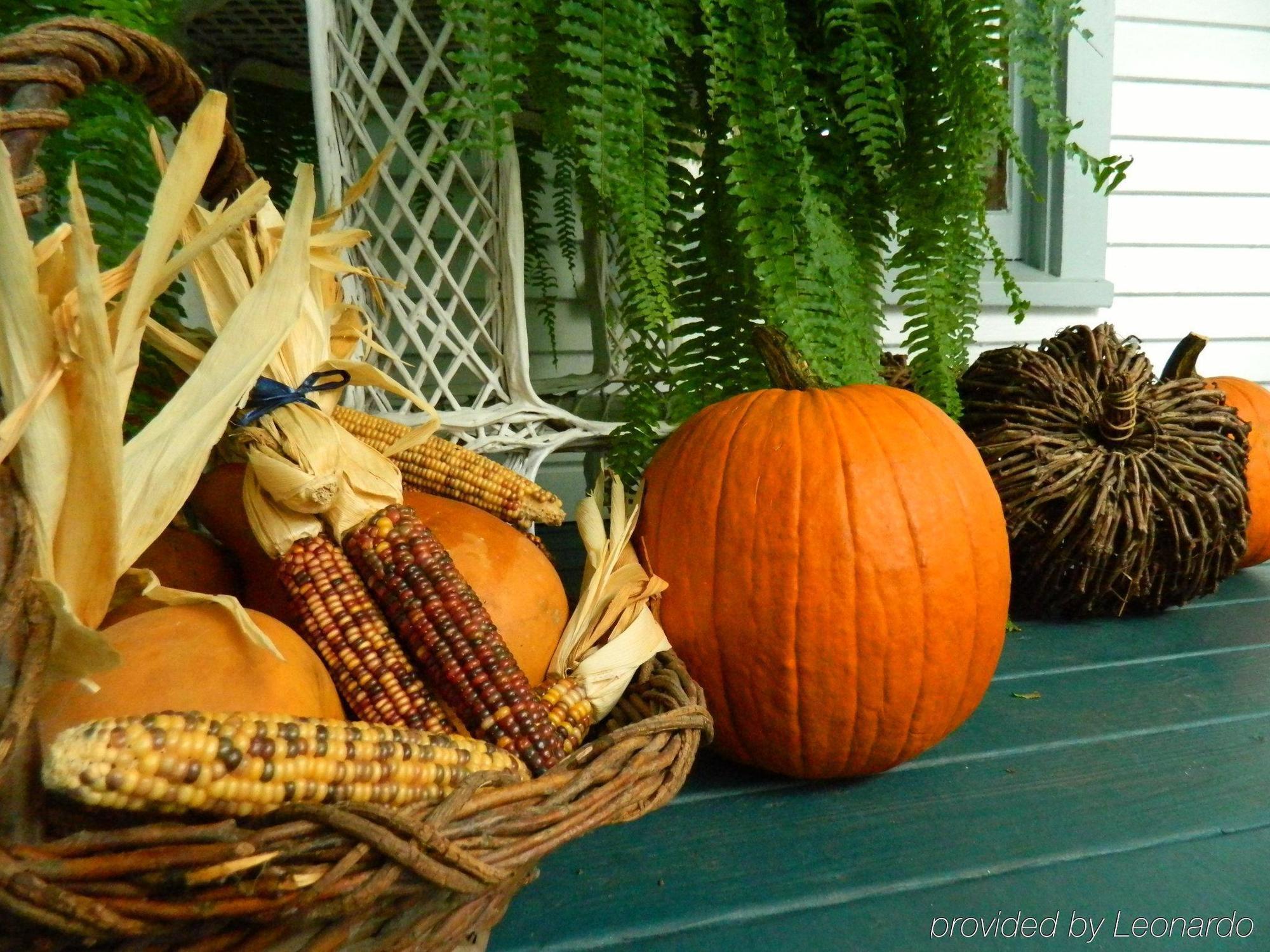 Bayfront Westcott House Bed & Breakfast St. Augustine Ngoại thất bức ảnh