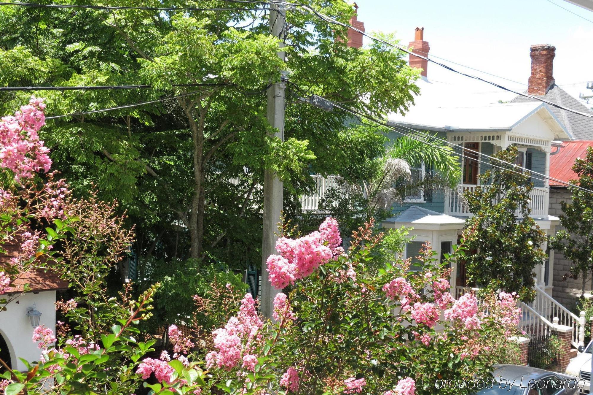 Bayfront Westcott House Bed & Breakfast St. Augustine Ngoại thất bức ảnh